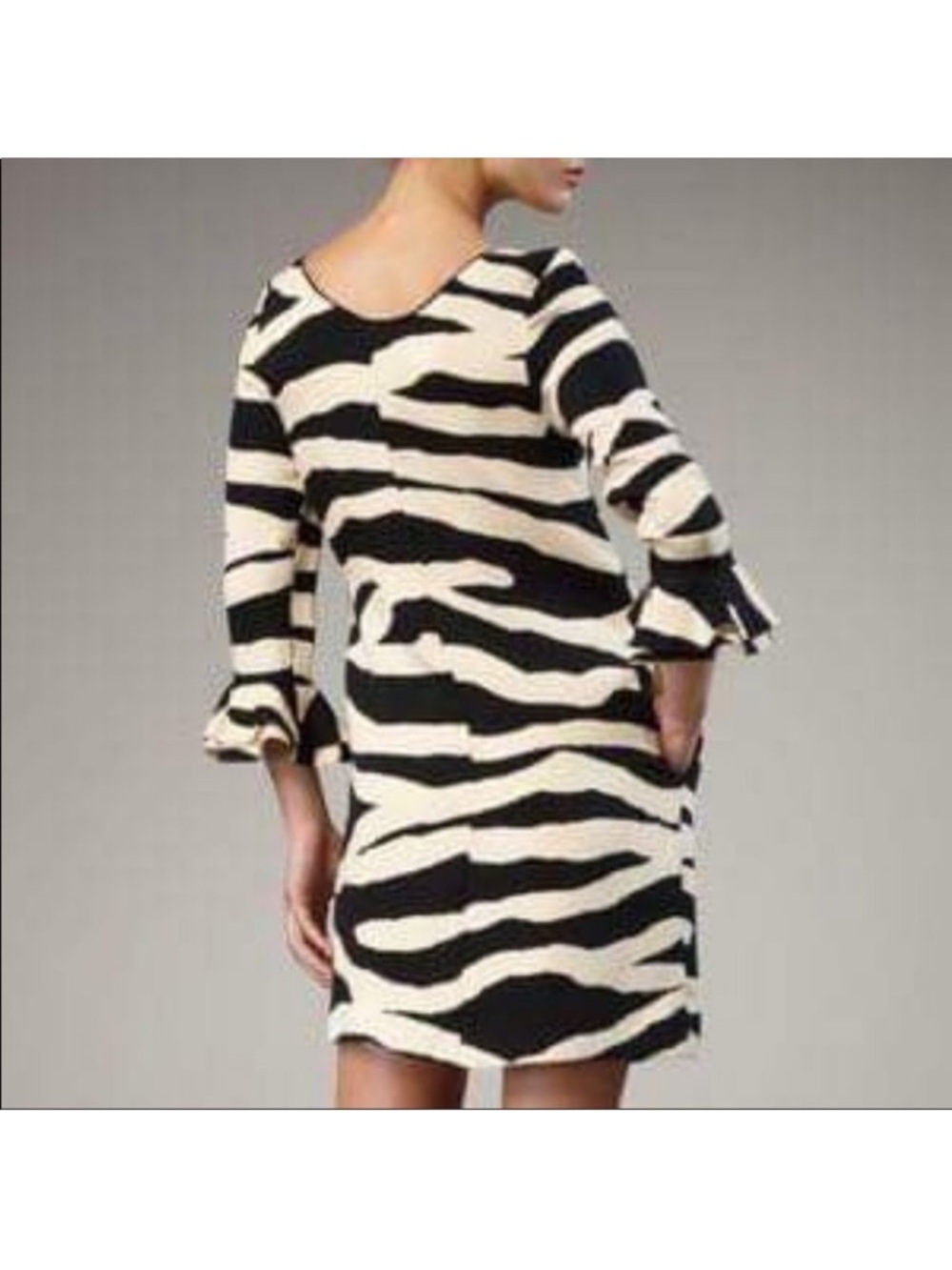 Kate Spade Andorra Zebra Striped Dress Size 6 NWOT - Picture 4 of 9